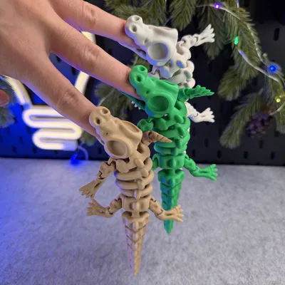 Cá Sấu Bộ Xương Khớp Nối