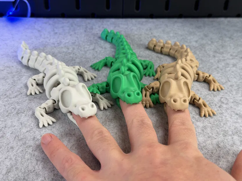 Cá Sấu Bộ Xương Khớp Nối - Image 4