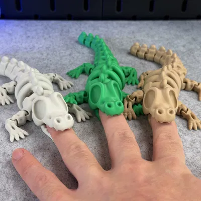 Cá Sấu Bộ Xương Khớp Nối