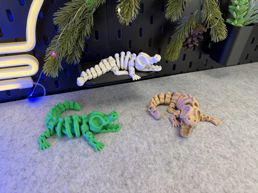 Cá Sấu Bộ Xương Khớp Nối - Image 5