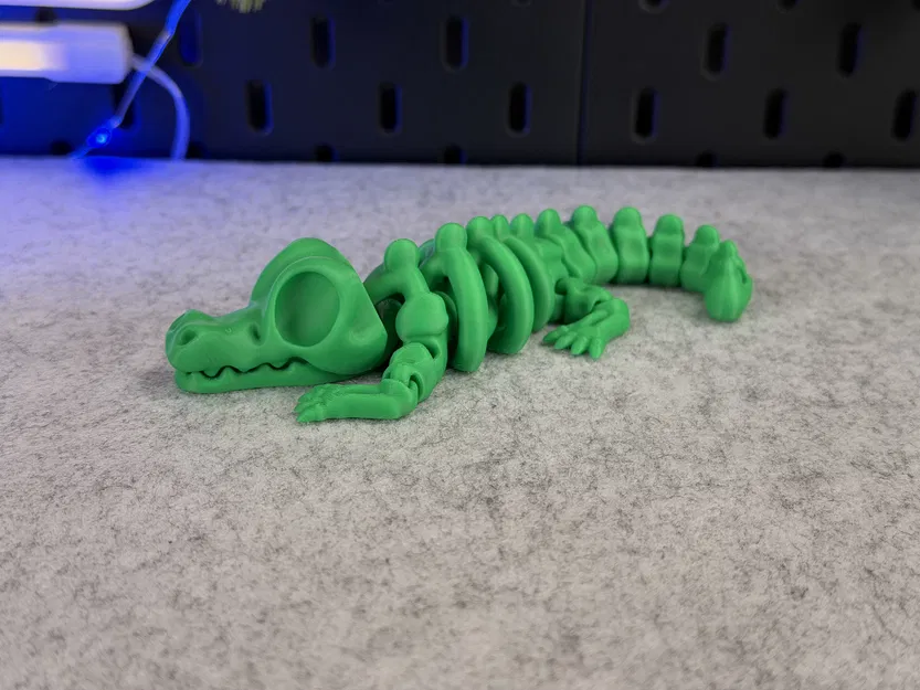 Cá Sấu Bộ Xương Khớp Nối - Image 8