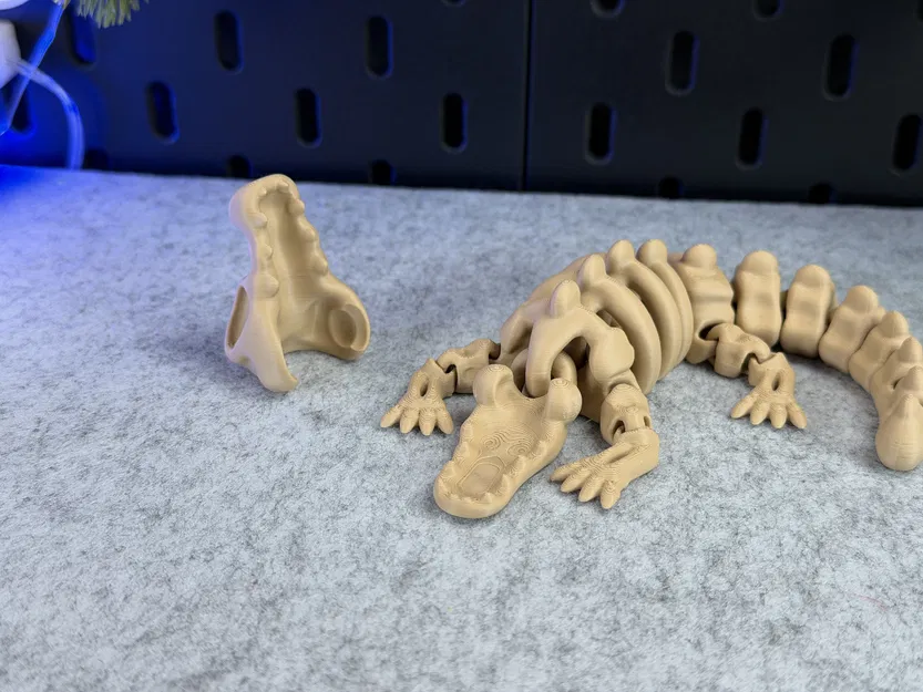 Cá Sấu Bộ Xương Khớp Nối - Image 9