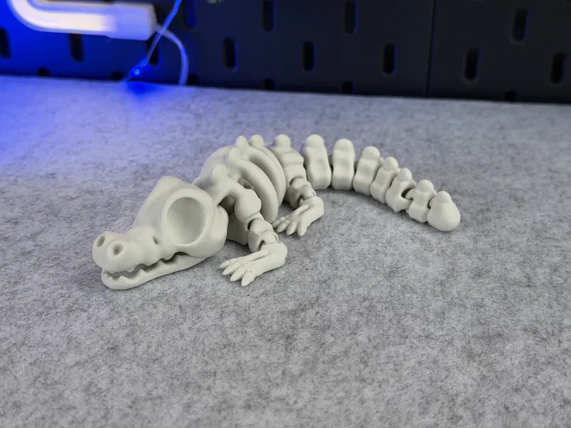 Cá Sấu Bộ Xương Khớp Nối - Image 11