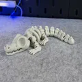 Cá Sấu Bộ Xương Khớp Nối - Thumbnail 11