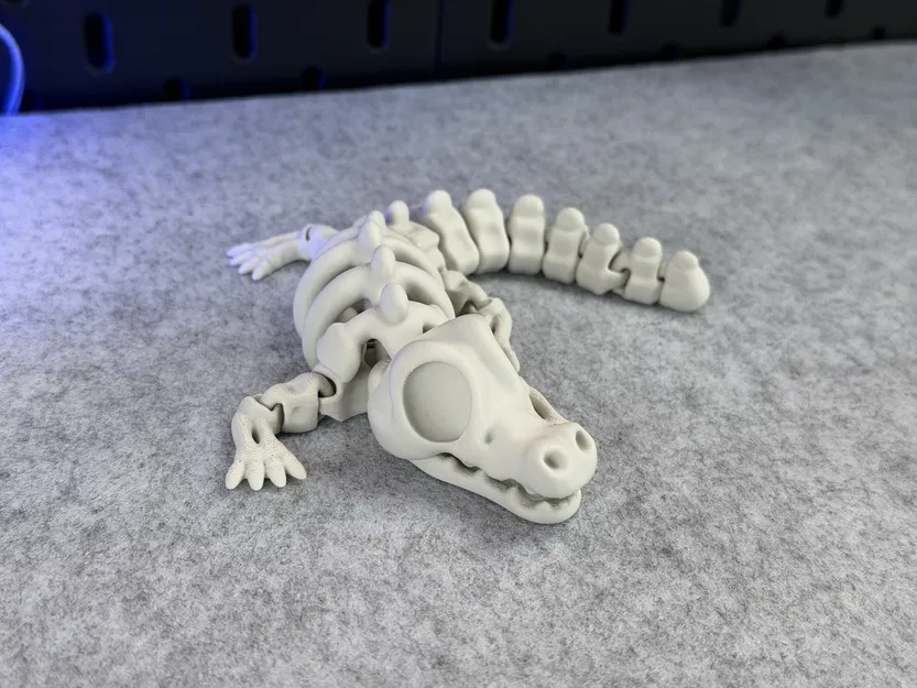 Cá Sấu Bộ Xương Khớp Nối - Image 12