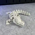 Cá Sấu Bộ Xương Khớp Nối - Thumbnail 12