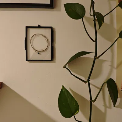 Khung Tùy Chỉnh Cho Đồ Vật - In Liền Một Khối