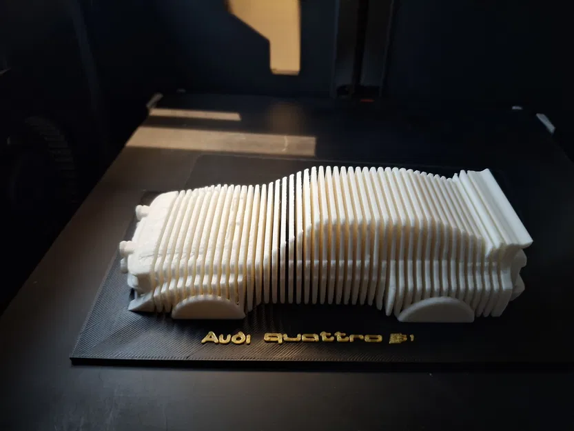 Mô hình AUDI QUATTRO S1 Cũ - Image 1