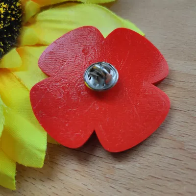 Mô hình Papoila/Poppy