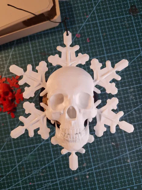 Đầu Lâu Tuyết / Skullflake - Image 2