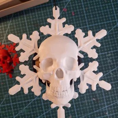 Đầu Lâu Tuyết / Skullflake