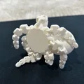 Octosanta - Bạch tuộc Giáng Sinh Độc Đáo - Thumbnail 4