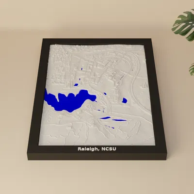 Mô hình 3D địa hình Raleigh, NCSU, Hoa Kỳ