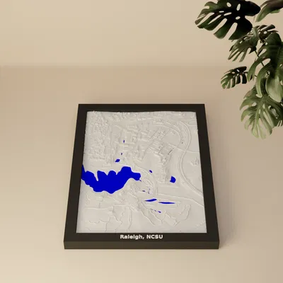 Mô hình 3D địa hình Raleigh, NCSU, Hoa Kỳ