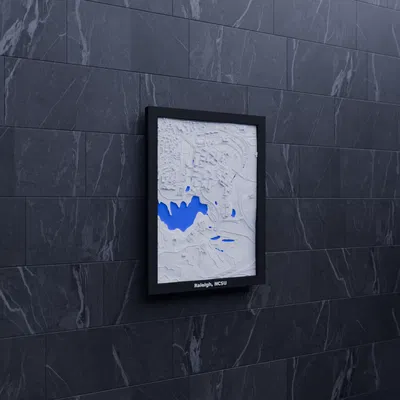 Mô hình 3D địa hình Raleigh, NCSU, Hoa Kỳ