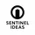 SentinelIdea_3991427