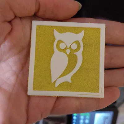 Cú Lớn Trong Khung - Thử Nghiệm In Vải