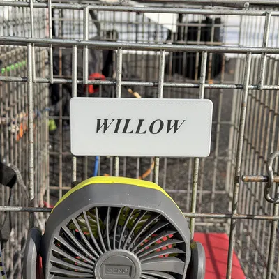 Nhãn Chuồng Chó Khắc Tên Tùy Chỉnh