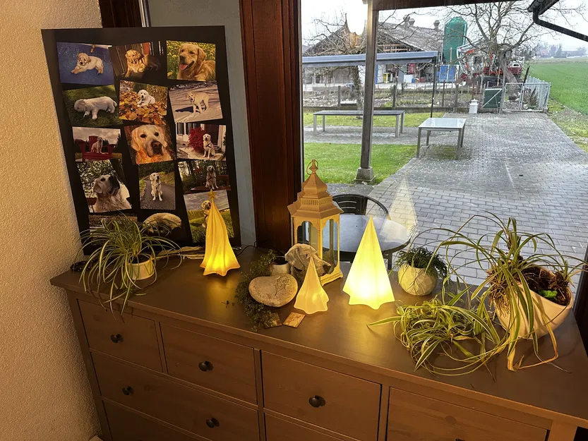 Cây Thông Noel / Christmas Tree - Image 3