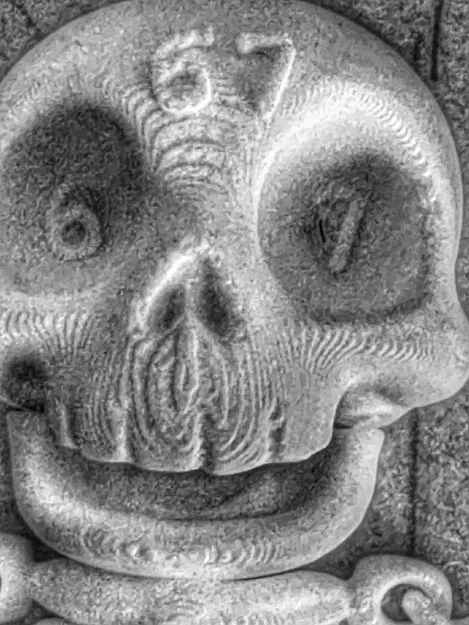 Bộ Xương Khớp SIG 67 Cỡ KHỦNG (7.64 inch) - Image 1