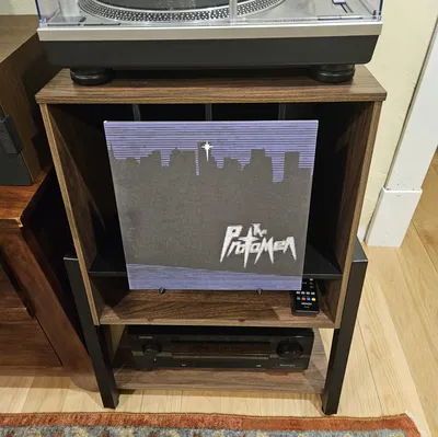 Chốt trưng bìa đĩa than cho kệ FITUEYES