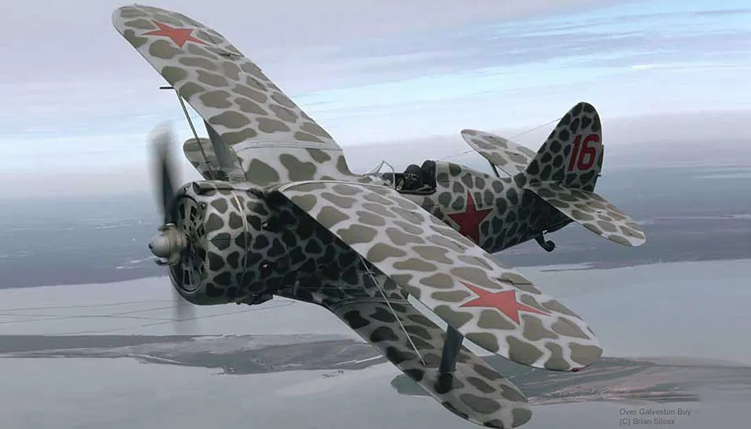 Polikarpov I-153 Biplane | Tỷ lệ 1-100 - Image 7