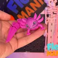 Axolotl Uốn Dẻo | Axolotl Khớp Nối Một Mảnh Siêu Cưng - Thumbnail 2