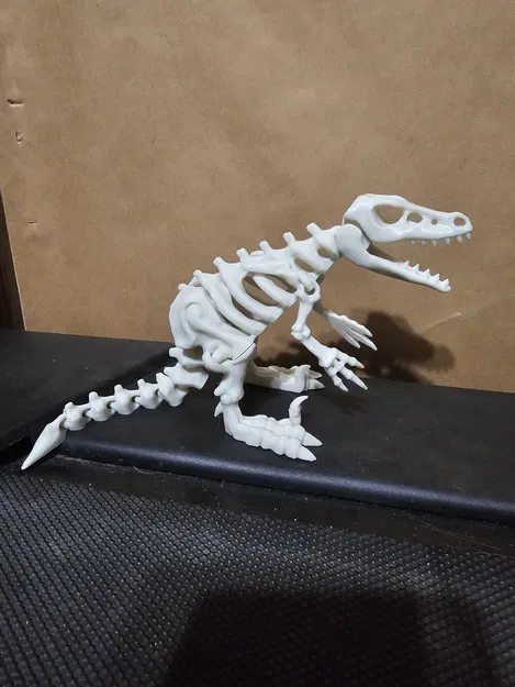 Bộ Xương Khủng Long Khớp Nối 5 - Image 1