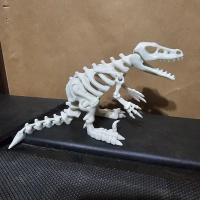 Bộ Xương Khủng Long Khớp Nối 5