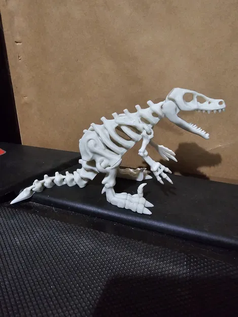 Bộ Xương Khủng Long Khớp Nối 5 - Image 2