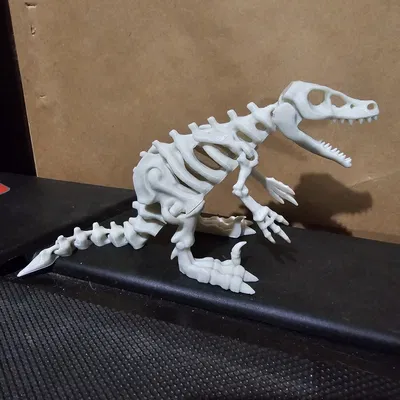 Bộ Xương Khủng Long Khớp Nối 5