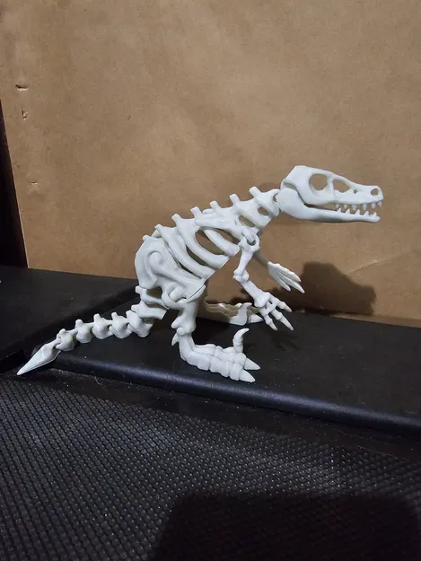 Bộ Xương Khủng Long Khớp Nối 5 - Image 3