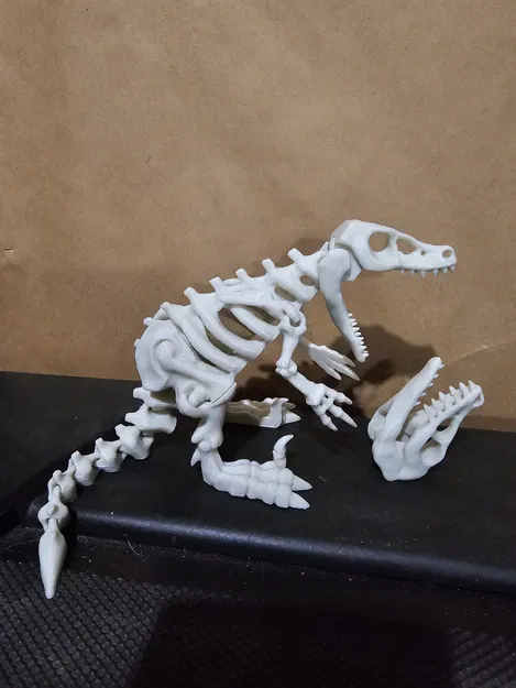 Bộ Xương Khủng Long Khớp Nối 5 - Image 4