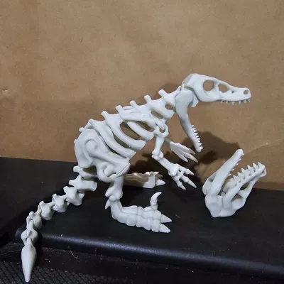 Bộ Xương Khủng Long Khớp Nối 5