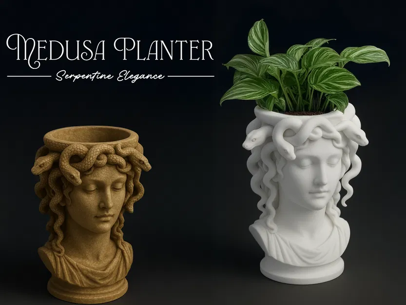 Chậu Medusa – Nét Quyến Rũ Khó Cưỡng - Image 1