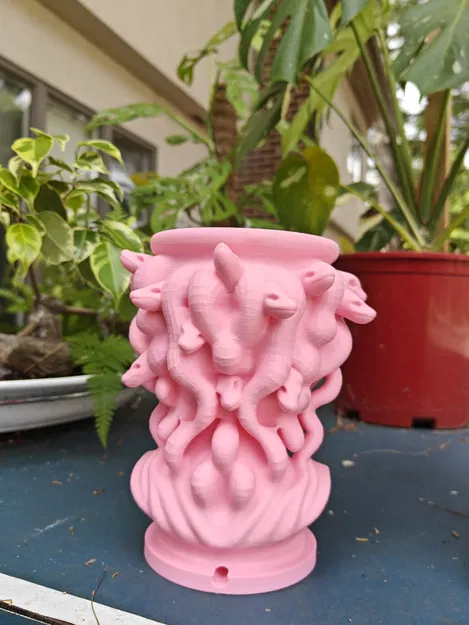 Chậu Medusa – Nét Quyến Rũ Khó Cưỡng - Image 2