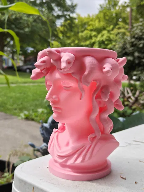 Chậu Medusa – Nét Quyến Rũ Khó Cưỡng - Image 3