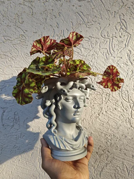 Chậu Medusa – Nét Quyến Rũ Khó Cưỡng - Image 7