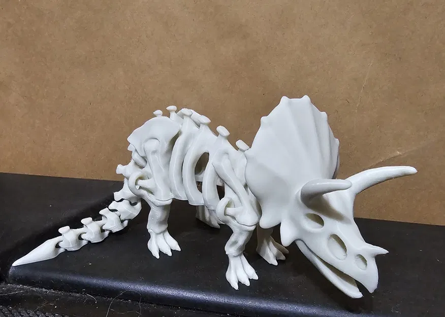 Bộ xương khủng long có khớp nối 2 - Image 1