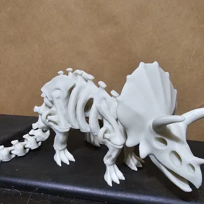 Bộ xương khủng long có khớp nối 2