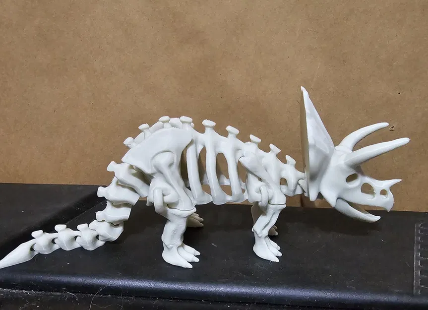 Bộ xương khủng long có khớp nối 2 - Image 3