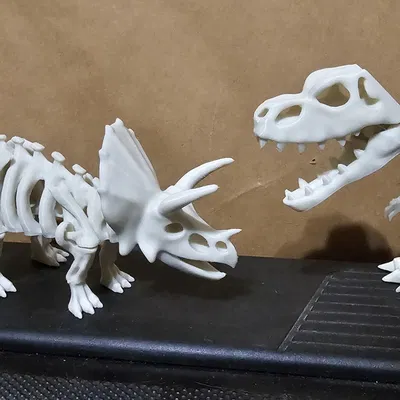 Bộ xương khủng long có khớp nối 2