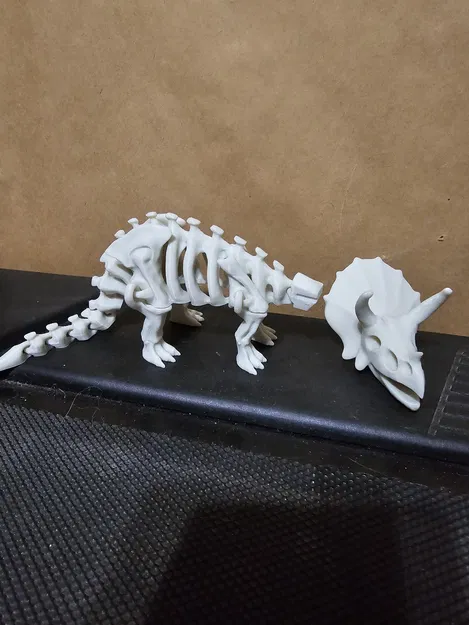 Bộ xương khủng long có khớp nối 2 - Image 5