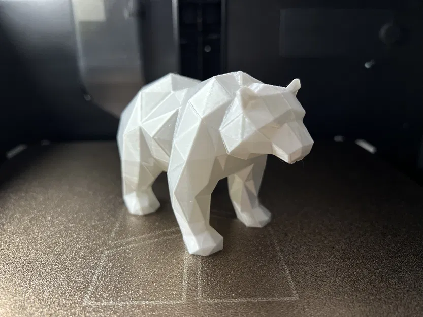 Gấu Bắc Cực Lì Lì - Image 1