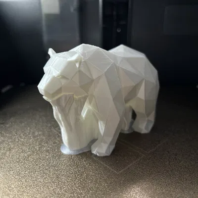 Gấu Bắc Cực Lì Lì