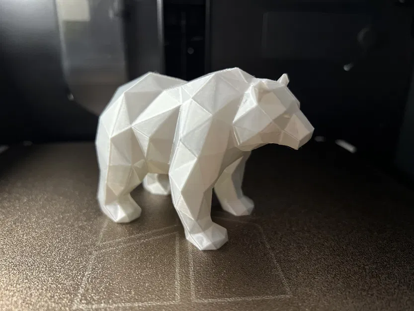 Gấu Bắc Cực Lì Lì - Image 3