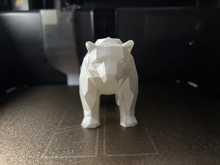 Gấu Bắc Cực Lì Lì - Image 4