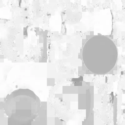 Thần Long Falcor trong phim Chuyện Chưa Kể