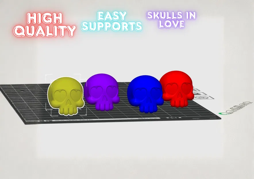 Hộp Sọ Nhỏ Xinh - Image 1