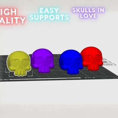 Hộp Sọ Nhỏ Xinh